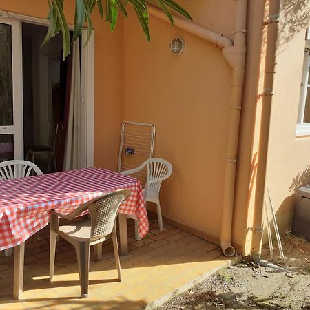 Bel Appartement Bord De Mer Cerbère Exteriör bild